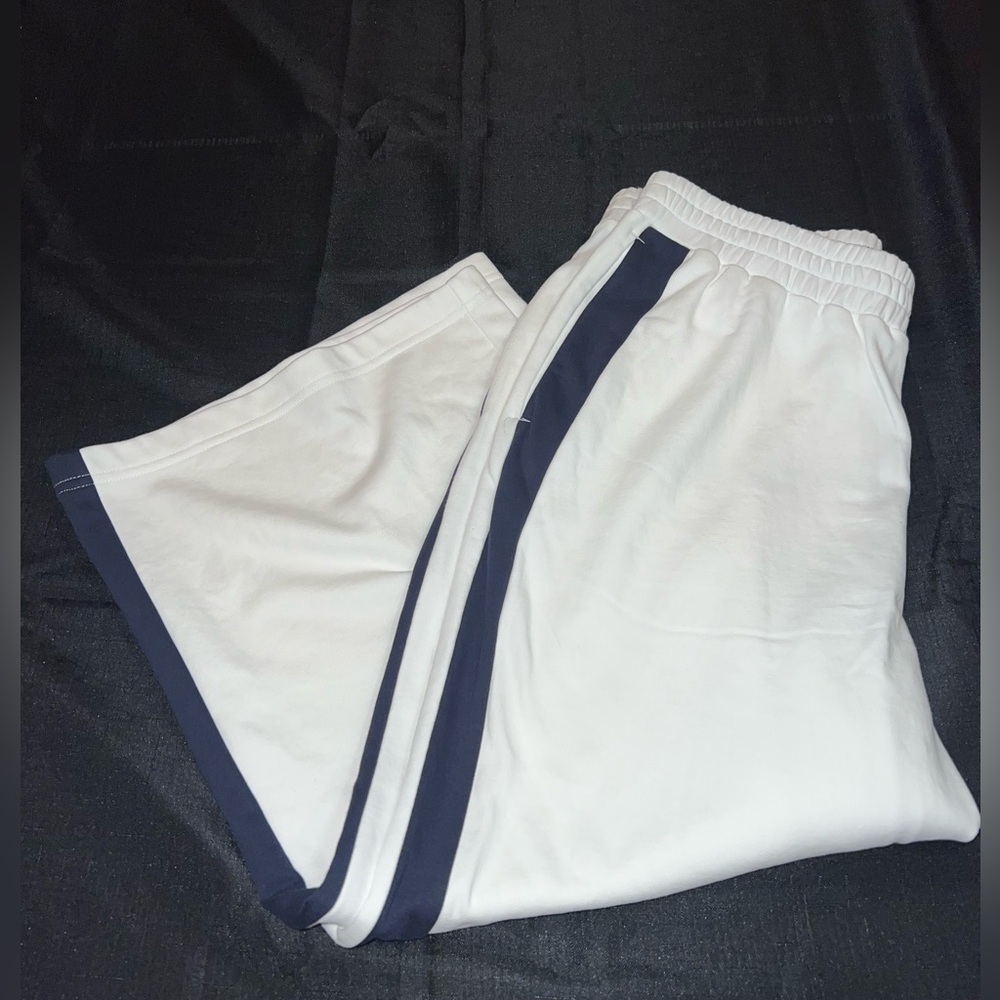 Express Palazzo Pants